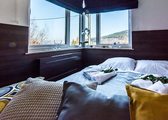 Deluxe Z Sauna - 5d Apartment